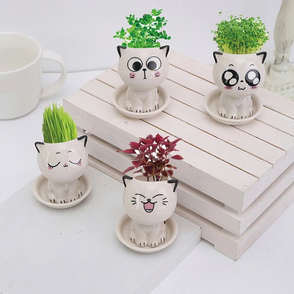 Mini Cat Shaped Ceramic Flowerpot 2024