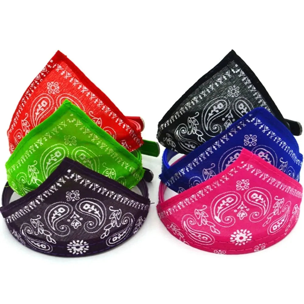 Puppy Cat Scarf Bandana 2024