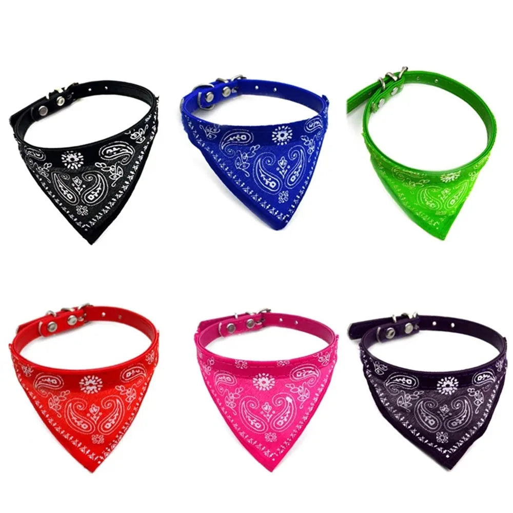 Puppy Cat Scarf Bandana 2024