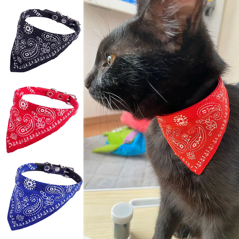Puppy Cat Scarf Bandana 2024
