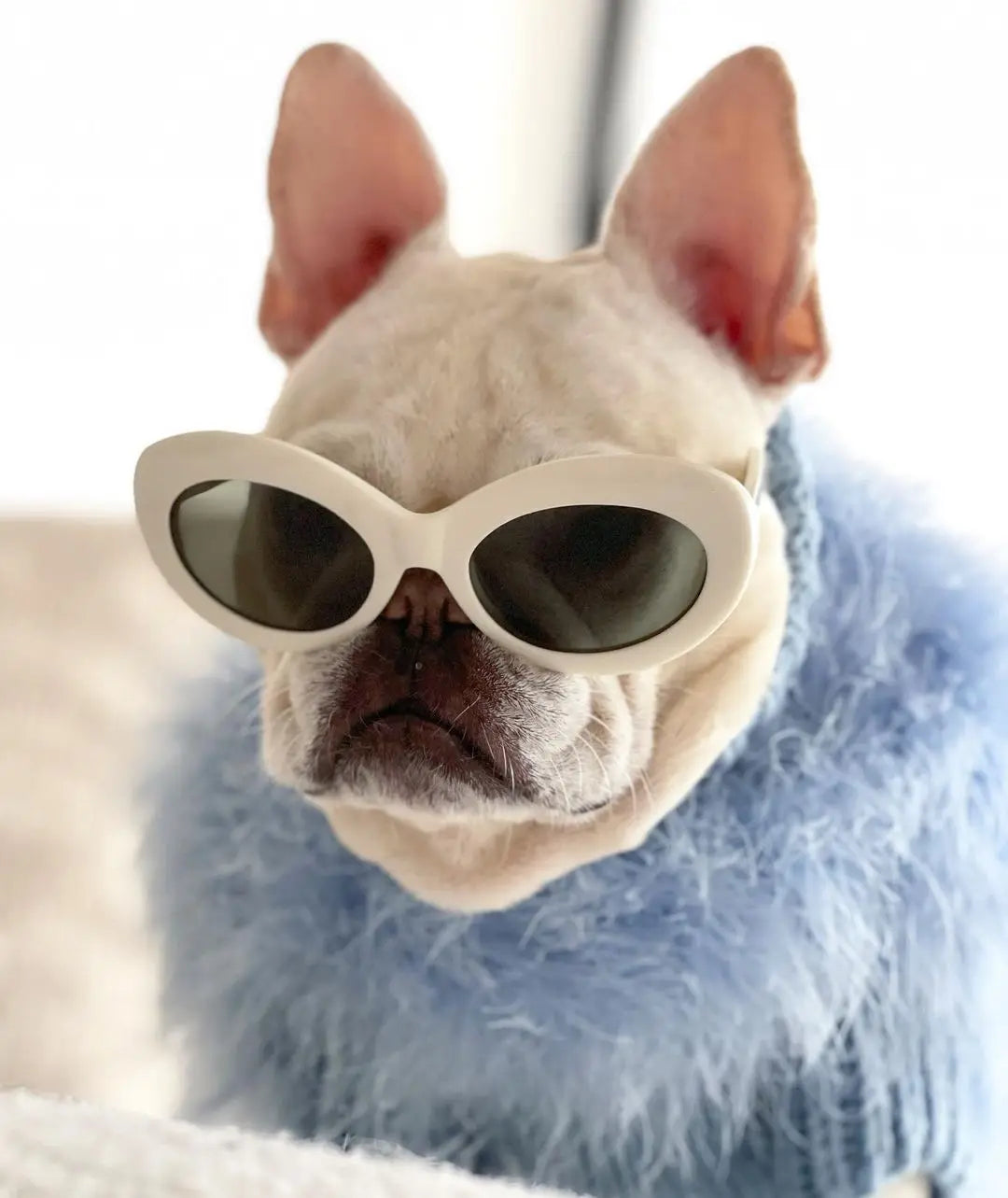 Soft Fluffy Turtleneck Cat And Dog Sweater 2024