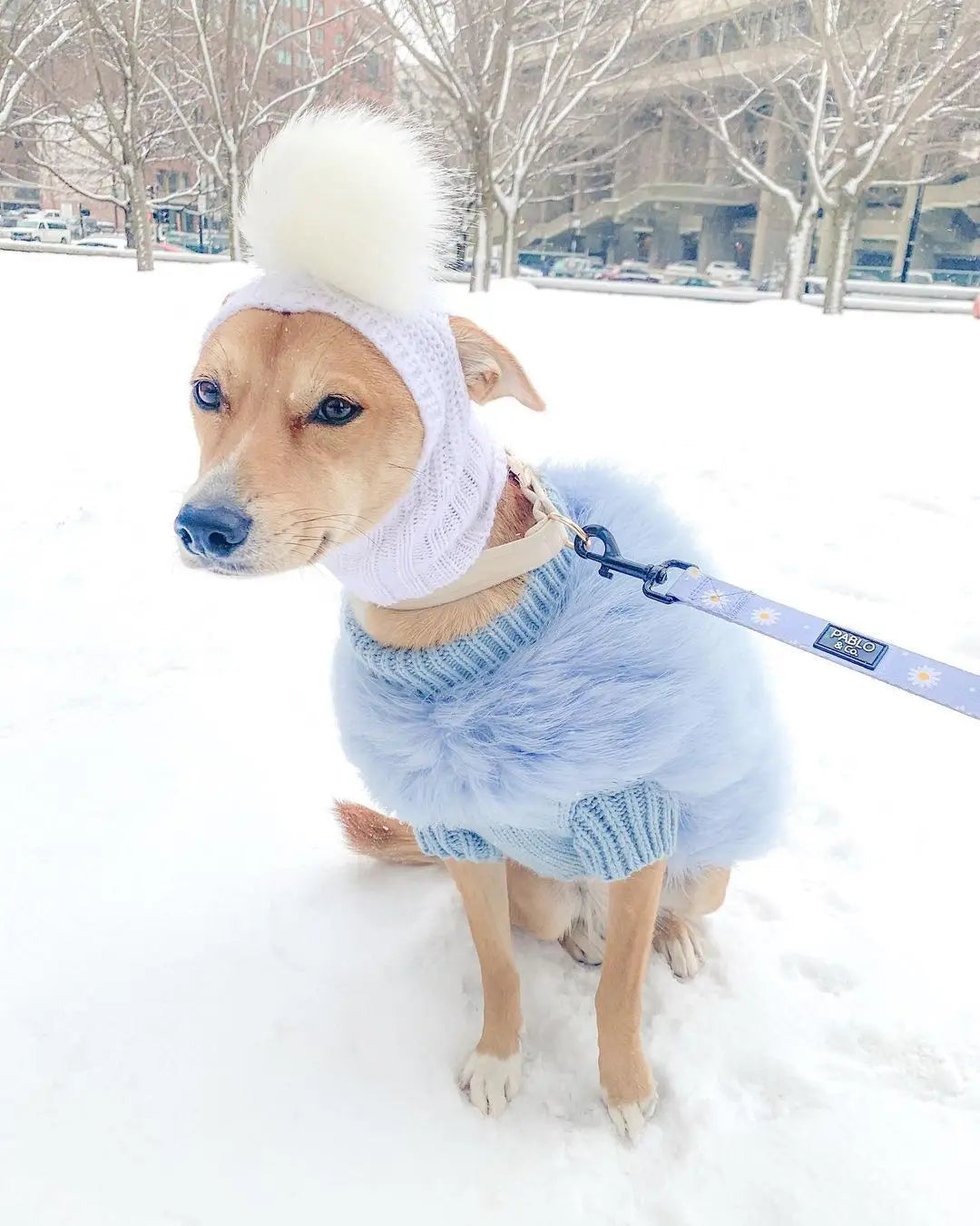 Soft Fluffy Turtleneck Cat And Dog Sweater 2024