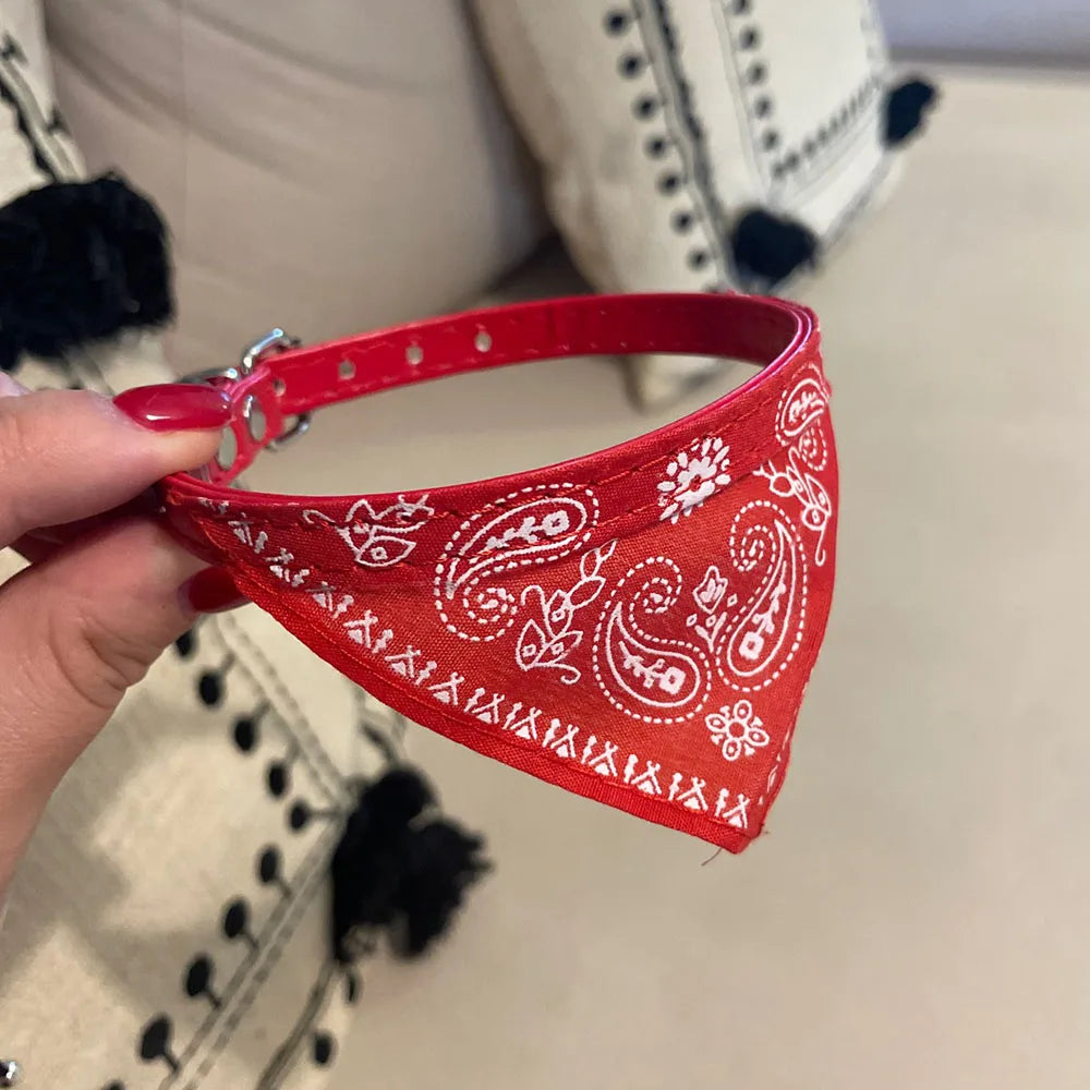 Puppy Cat Scarf Bandana 2024