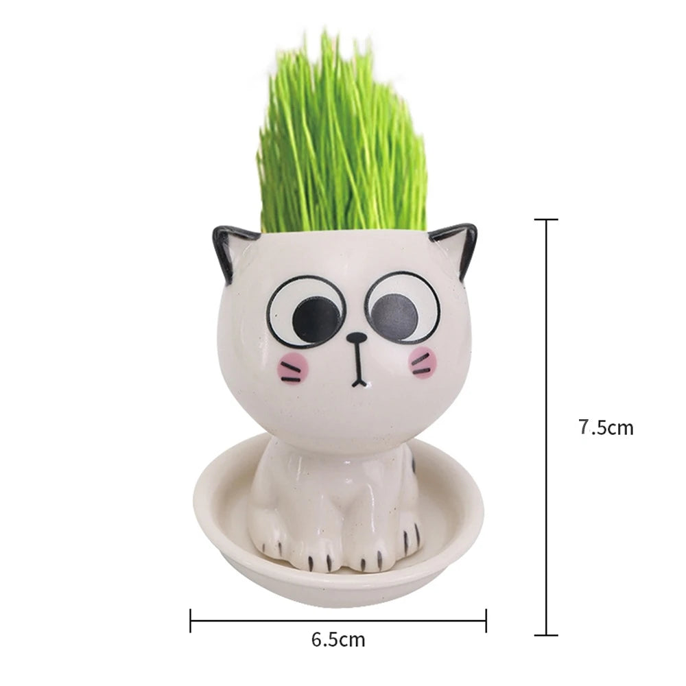 Mini Cat Shaped Ceramic Flowerpot 2024