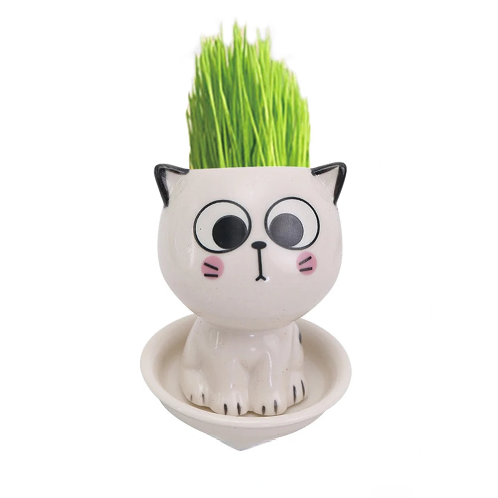 Mini Cat Shaped Ceramic Flowerpot 2024