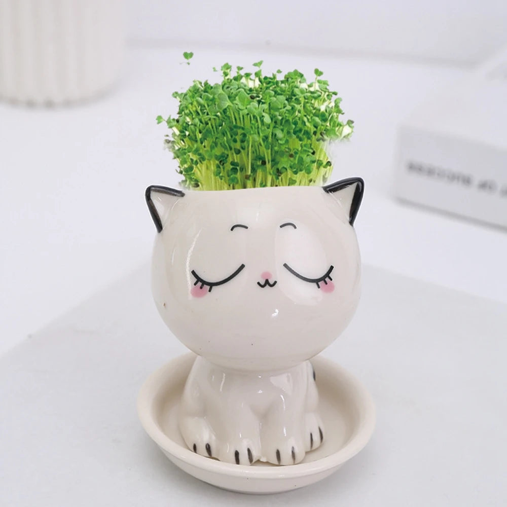 Mini Cat Shaped Ceramic Flowerpot 2024