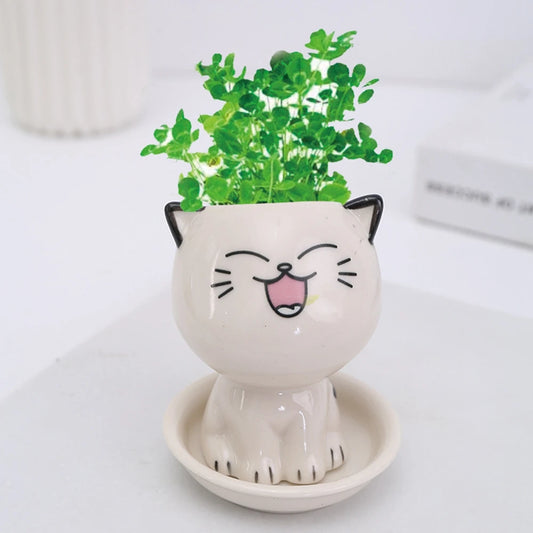 Mini Cat Shaped Ceramic Flowerpot 2024