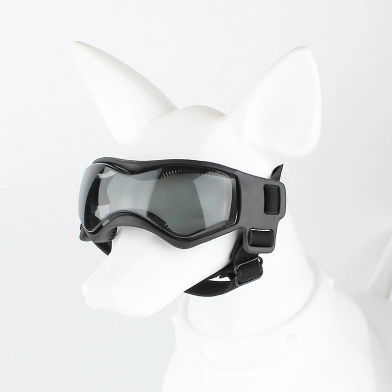 Dog Summer Sunglasses 2024