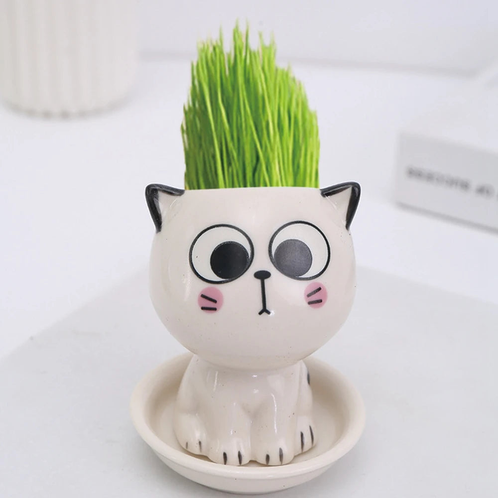 Mini Cat Shaped Ceramic Flowerpot 2024