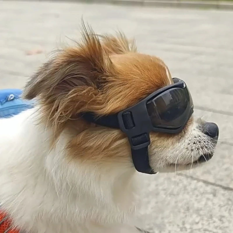 Dog Summer Sunglasses 2024