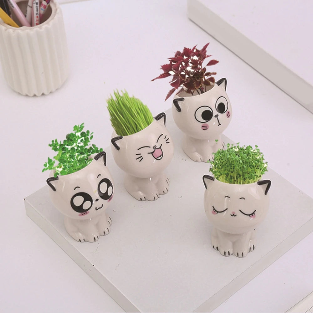 Mini Cat Shaped Ceramic Flowerpot 2024